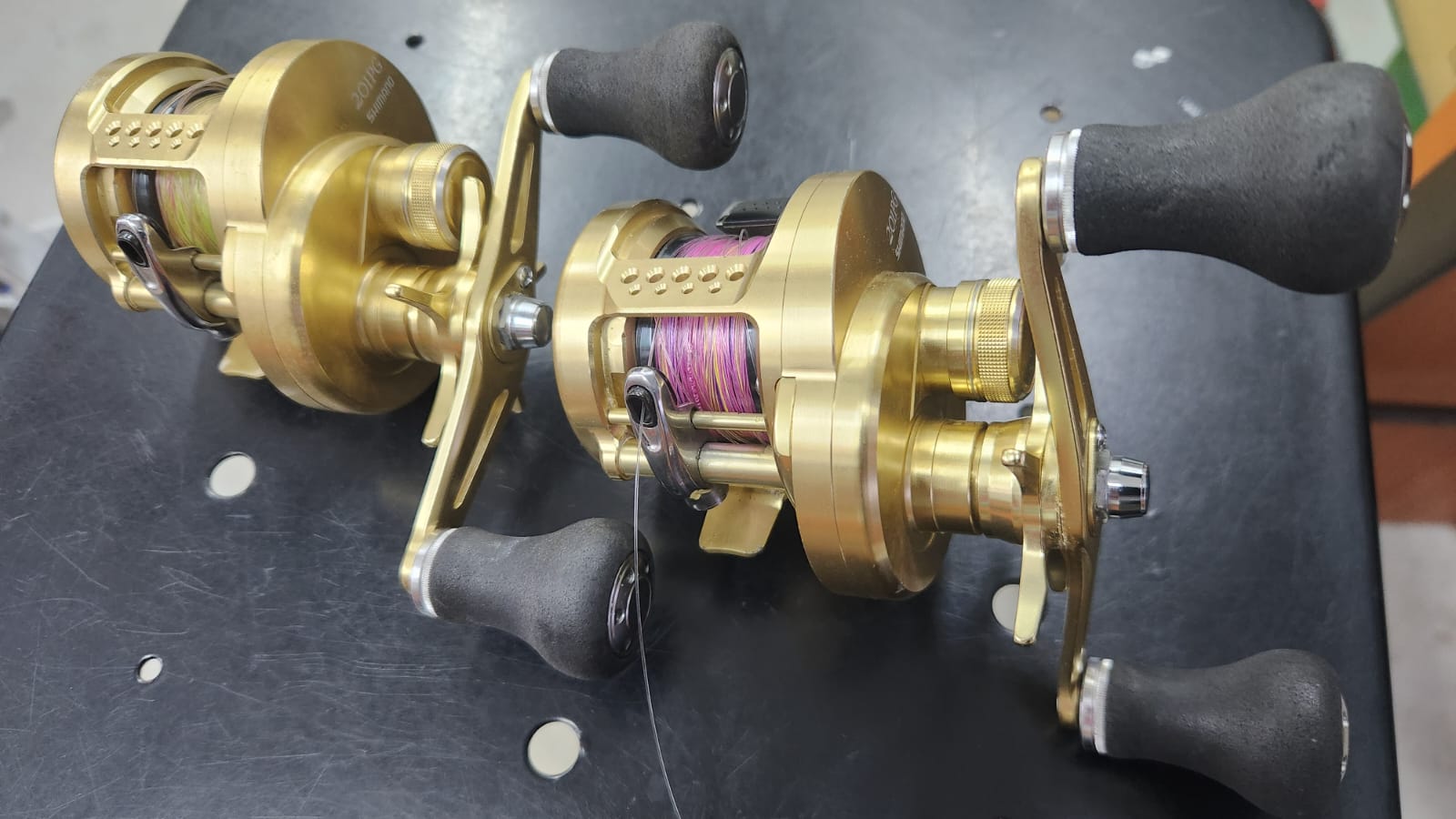 リール SHIMANO - SHIMANO OCEA CONQUEST 201PG Shimano Bait Reel Dual Axis 15 Oshea Conquest 201PG Right