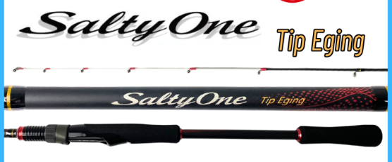 SHIMANO ROD - 23 SALTY ONE TIP EGING S66MS