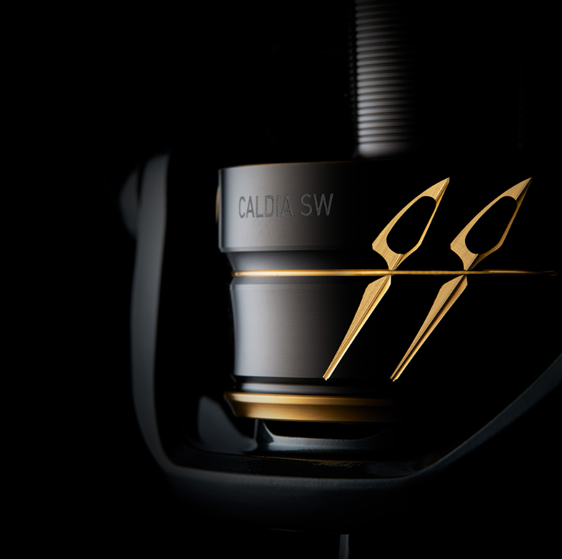 PRICE w/o GST) - DAIWA REEL - CALDIA SW (2022) – Fishing Buddy