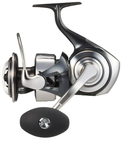 PRICE w/o GST) - DAIWA CERTATE SW REEL (2026) – Fishing Buddy