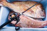 SHIMANO 2020 GENPU XT 200PG